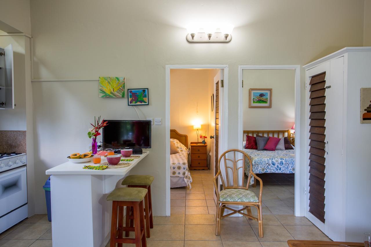 Smithy'S Eco-Apartment Morne Jaloux Ridge Exterior photo